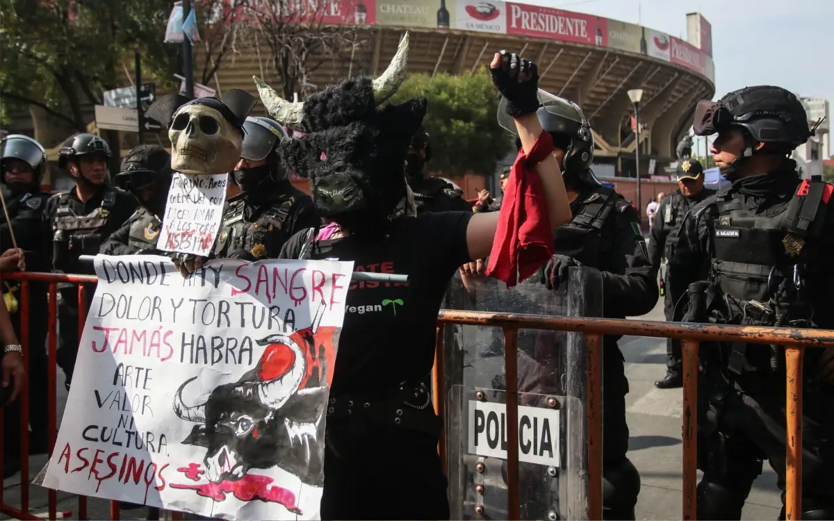 Protesta: La Larga Lucha por los Derechos de los Animales Continúa
