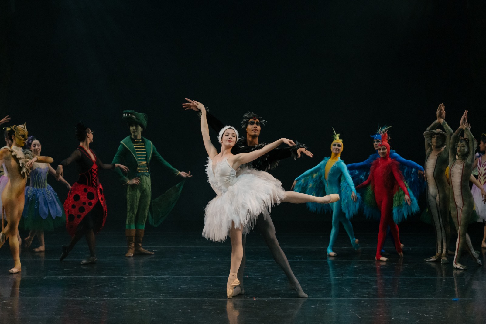 Danza y Conciencia: ‘Carnaval de los Animales’ en el CCB
