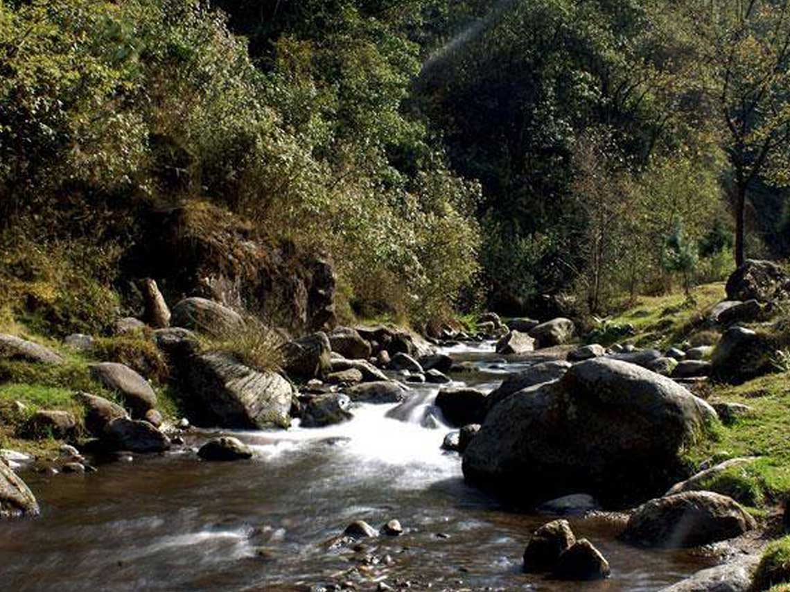 ¡Conviértete en un explorador urbano! Únete al Reto Naturalista Urbano 2025 en la Ciudad de México
