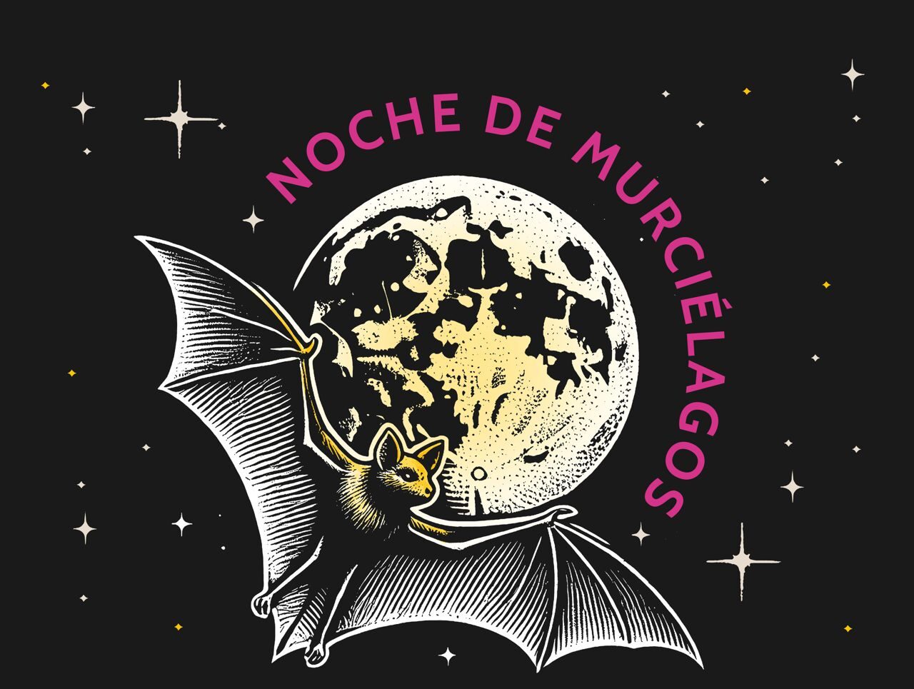 Descubre las 23 especies de murciélagos que habitan la capital en un recorrido nocturno