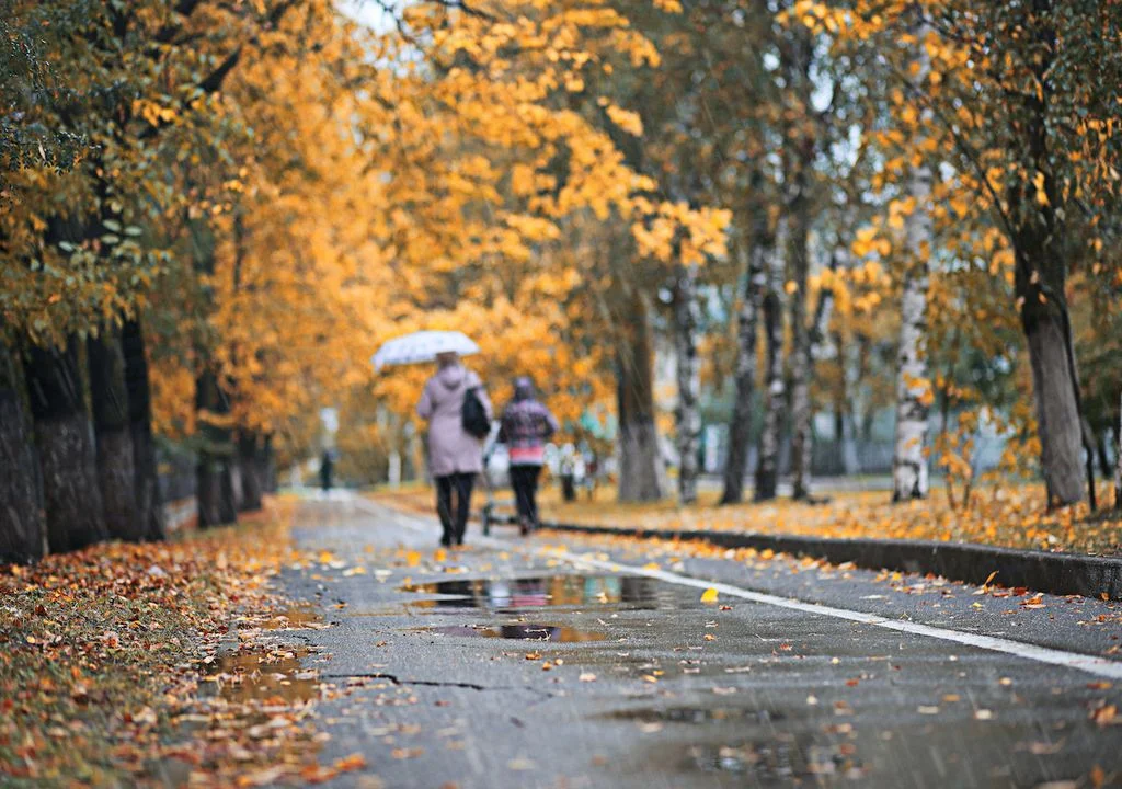 Otoño meteorológico: la estación de transición que transforma el clima y la naturaleza