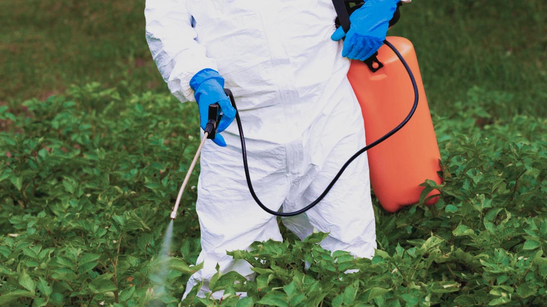 Por una agricultura segura: México elimina plaguicidas que amenazan la salud y el medio ambiente