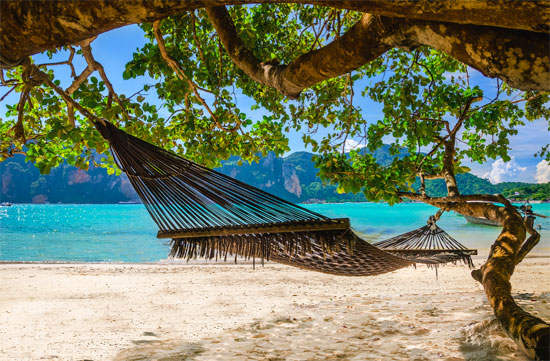 Turismo de bienestar y ciudades biofílicas: ciencia, salud y nuevas experiencias de conexión con la naturaleza